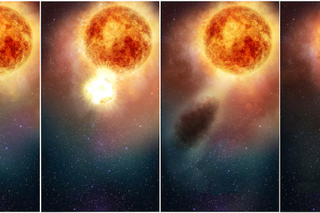 Betelgeuse: The Supernova That Wasn't