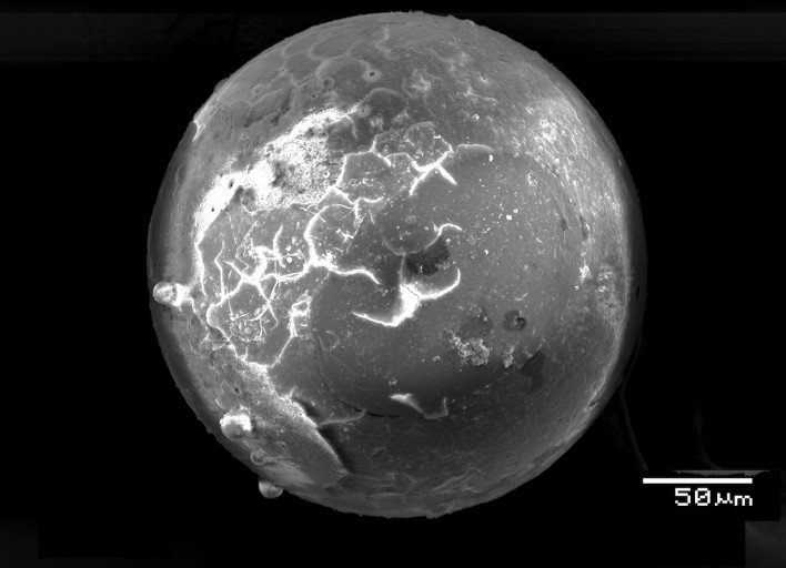 Strange Glass Spheres Found in Ancient Florida Clams Point to Meteor Strike