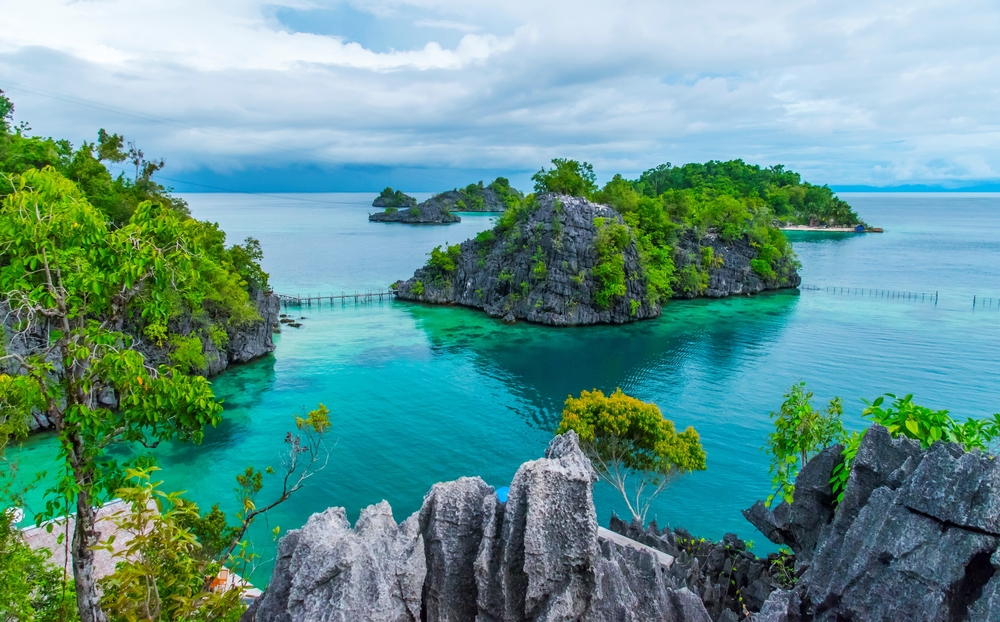 The Indonesian Island of Sulawesi Is an Evolutionary Puzzle  Discover Magazine