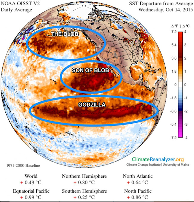 Godzilla, The Blob, and Son of Blob: an El Niño reality check ...