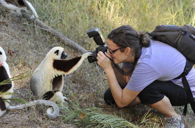 lemur-center.jpg