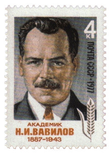 Vavilov1.jpg