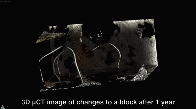 microCT_block_2.gif