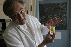 egg-2.jpg