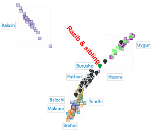 razibandsib.png