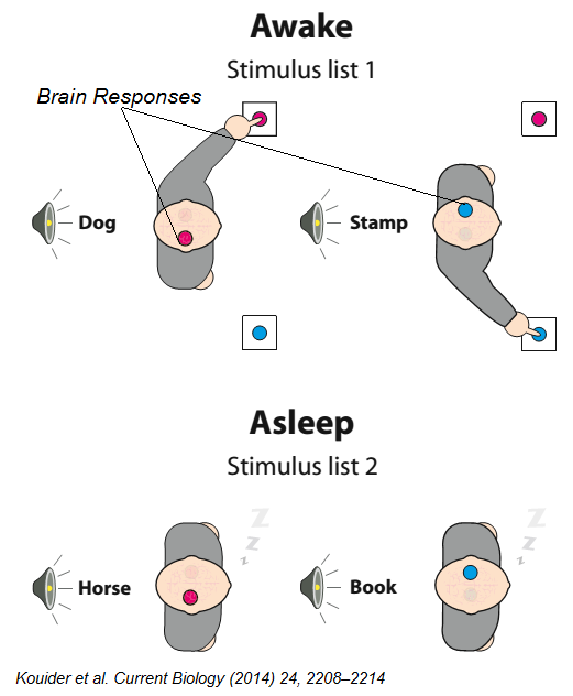 button_press_kouider.png