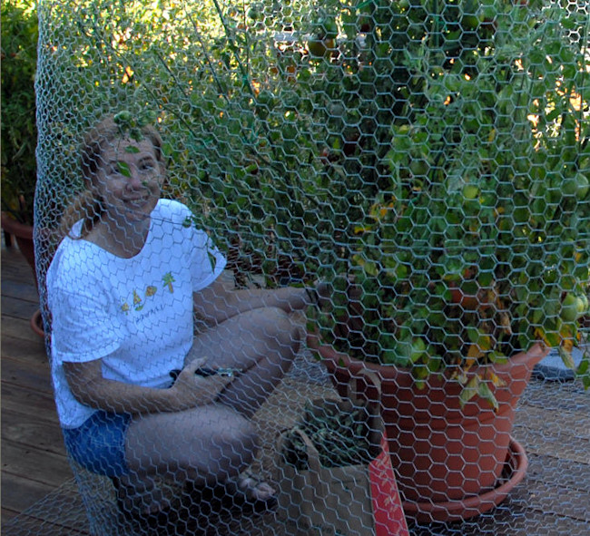 cage1.jpg