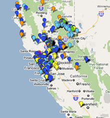 Citizen Scientists Take Charge Of California's Roadkill 