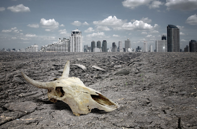 How Do We Know When a Species Is Extinct? | Discover Magazine