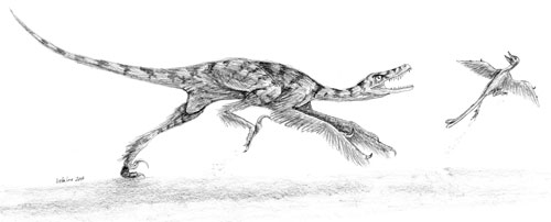 Sinornithosaurusvsbird.jpg