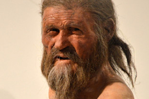Tollund Man, Otzi the Iceman: What Their Last Meals Reveal
