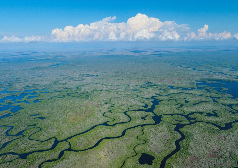 everglades