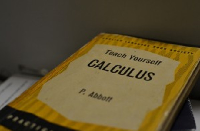 calculus-300x199.jpg