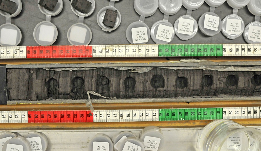 samples from the St. Paul Island sediment cores