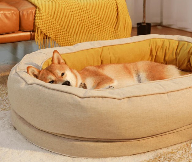 https://images.ctfassets.net/cnu0m8re1exe/263qA0sglBrWxwcFRVtdQl/b71bdac3e3a94c410da31448f3ca28eb/Funny_Fuzzy_Dog_Bed_____Donut.jpg