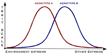Trait-scale-norm.png
