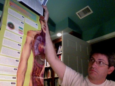 microbiome-centerfold.jpg