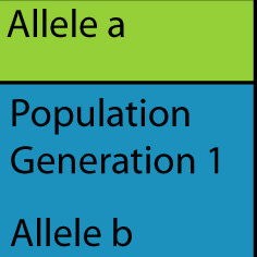 population1gen1gen.jpg