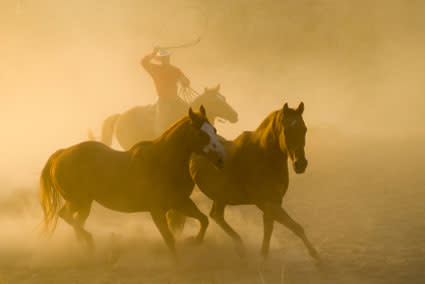 roundup-pic.jpg