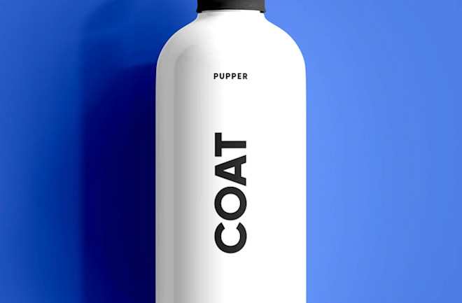 25 Best De shedding Shampoos for Dogs Discover Magazine