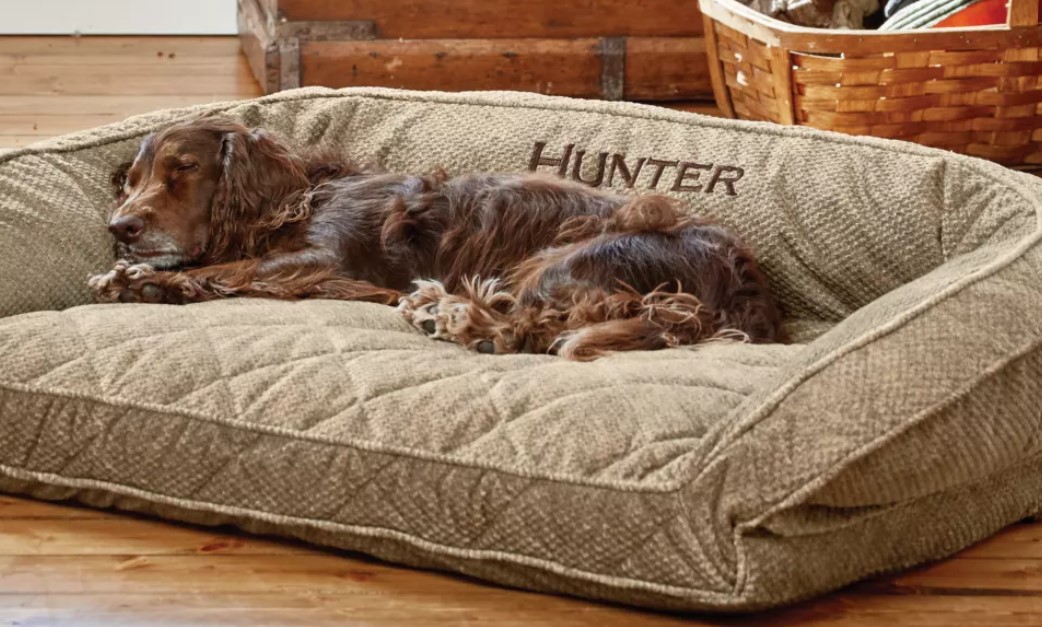 The Best Chew-Proof Dog Bed: 7 Tough Favorites to Try - Vetstreet