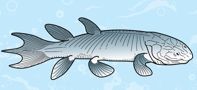 Eusthenopteron