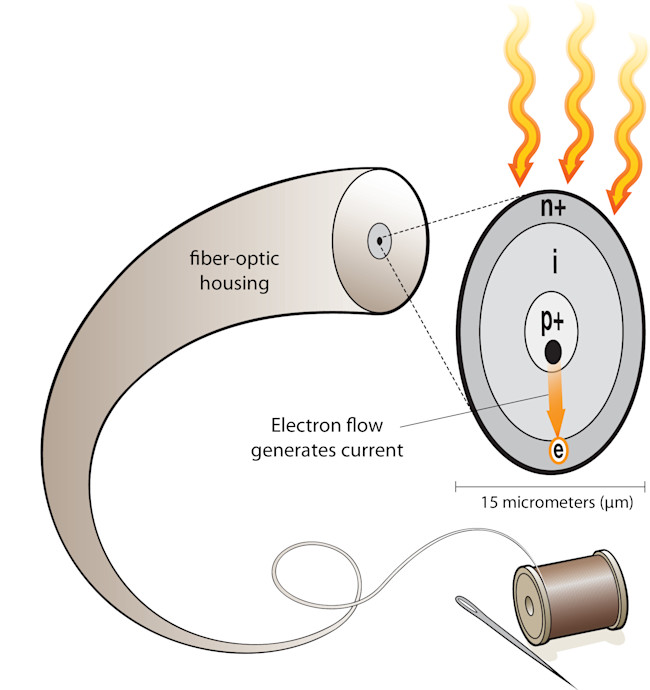 flexible-solar-cell.jpg