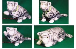 robocat.jpg