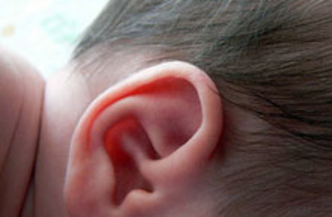 baby-ear.jpg