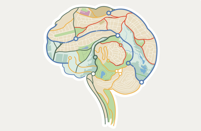 brain-map.jpg