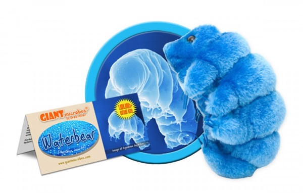 tardigradegifts