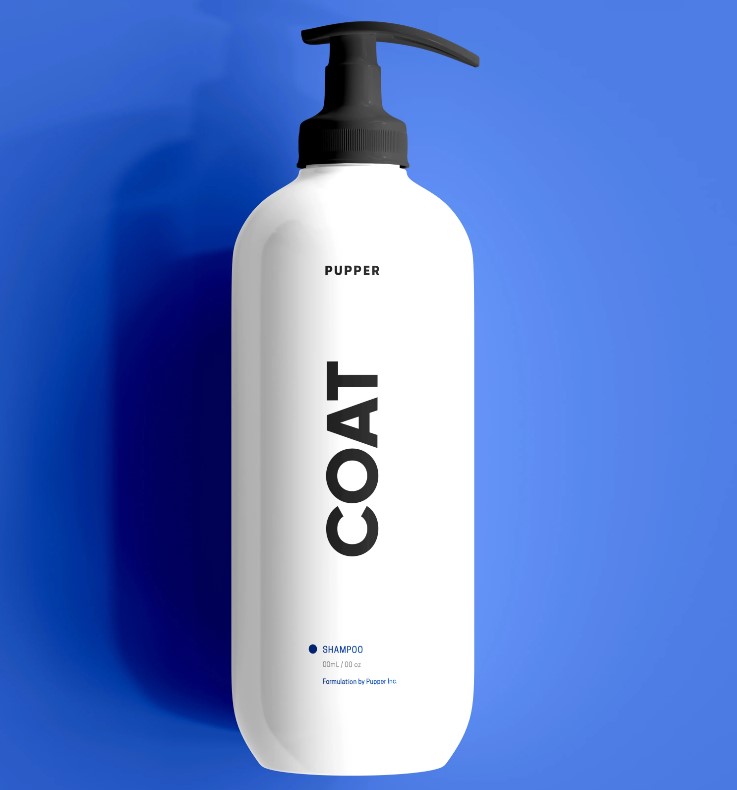 Best shampoo to get outlet rid of dog smell