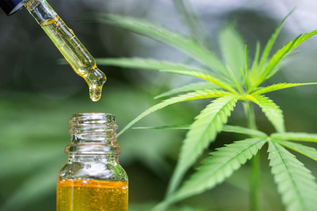 Things You Should Know When Choosing The Right CBD Online Store