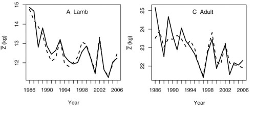 Sheep-shrinking.jpg