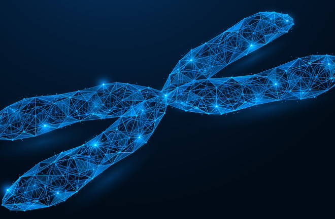 X-Chromosome contains a DNA helix. Low-poly design of interconnected lines and dots. Blue background.