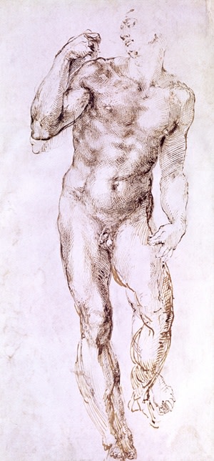 Michelangelo David - The Gallery Collection/Corbis