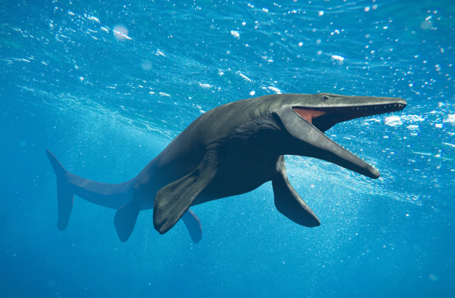 Did This Giant Sea Lizard Rule the Oceans 66 Million Years Ago? | Discover  Magazine