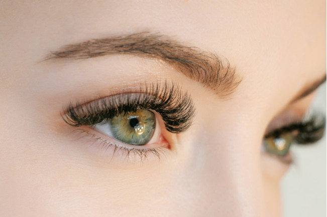 Why Do We Have Eyelashes? New Study Says It's to Keep Our Eyes Moist |  Discover Magazine