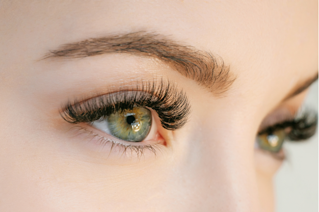 Why Do We Have Eyelashes New Study Says It S To Keep Our Eyes Moist Discover Magazine
