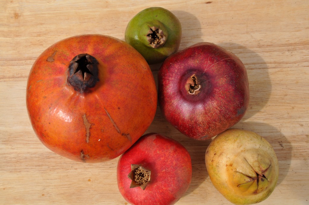 America's Pomegranates Are a Bore. One Researcher is Using His