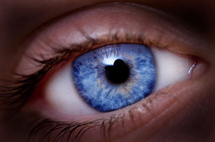 42 Geneticists Uncover The Origin Of Blue Eyes Discover Magazine