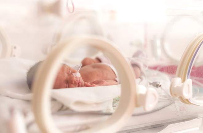 baby in incubator - shutterstock