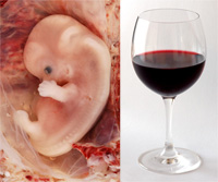 Embryo_alcohol.jpg