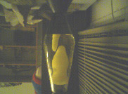 mary_lavalamp.jpg