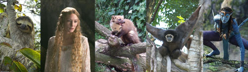 Arboreal.jpg