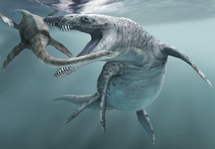 Hunt For Dinos on England's Jurassic Coast Discover Magazine