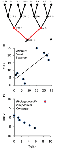 lynchfig2.png