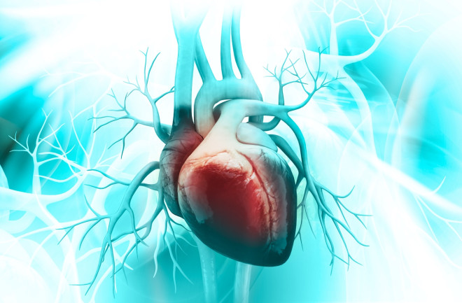 heart disease medical shutterstock