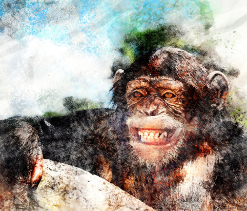 smiling chimpanzee