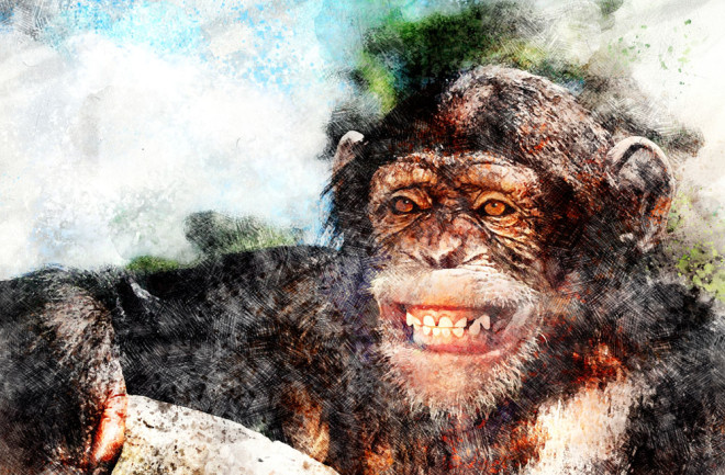 Chimp Art - Mackey/Alamy